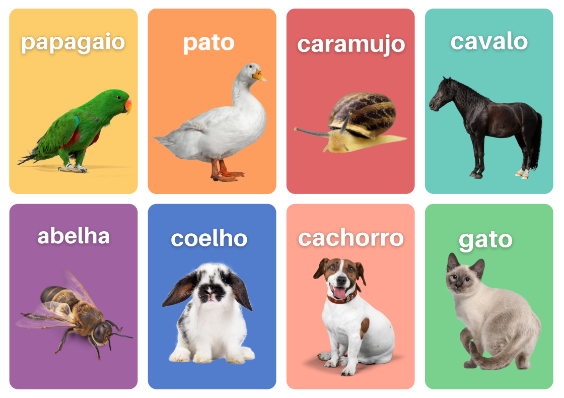 Atividade Animais